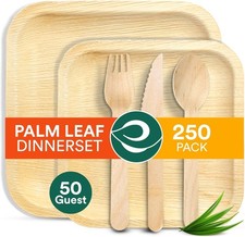 Palm Leaf Dinnerware Set of 250 ECO SOUL Compostable Biodegradable Disposable