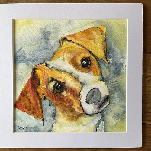 Jack russell terrier original - jack,