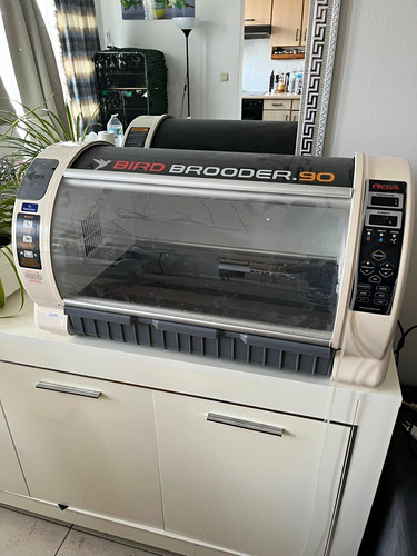 Rcom bird brooder digital - bird,
