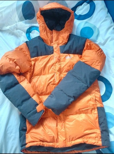 Orange jack wolf - orange,