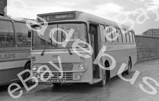 Bus Negative & Copyright