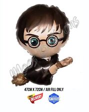 Harry Potter On Firebolt