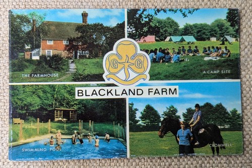Girl guides blackland farm - girl,