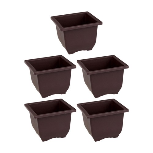 Flower pots plant - plant,