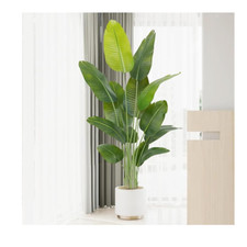 Keeplush Artificial Bird of Paradise Plant Outdoor 180cm Fake Tropical Banana