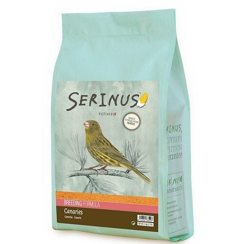 Serinus canaries breeding - serinus,