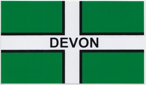 Devon county flag window - devon,