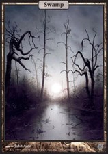 1x Swamp - Foil Near mint MTG