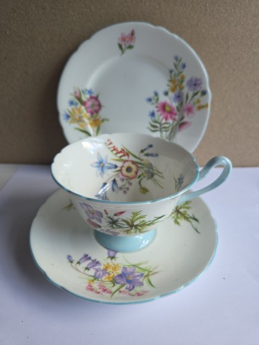 Shelley bone china - shelley,