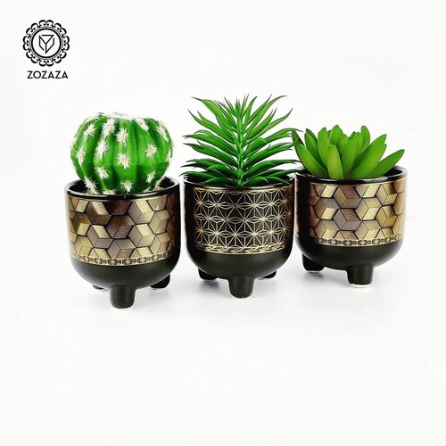 Set artificial cactus - of,