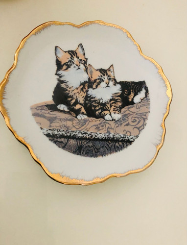 Kitty cat wall hanging - wall,