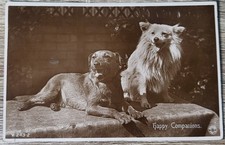 Happy Companions Rotary Photo