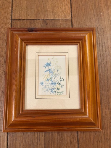 Framed blue thistle - framed, thistle”