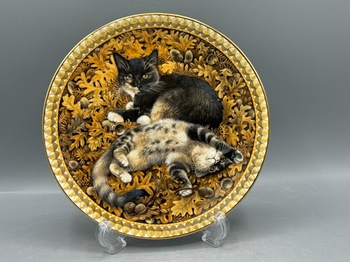 Aynsley meet kittens - my,