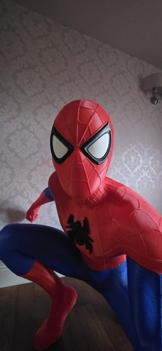 Spider man model printed - spider-man,