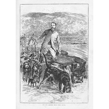 The Hon. Geoffrey Hill's Otter Hounds - Antique Print 1881
