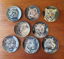 Princeton Gallery Cubs Of The