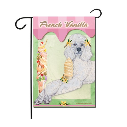 White standard poodle french - standard,
