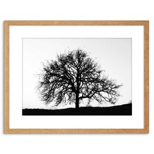 A2 Picture Frames With A3