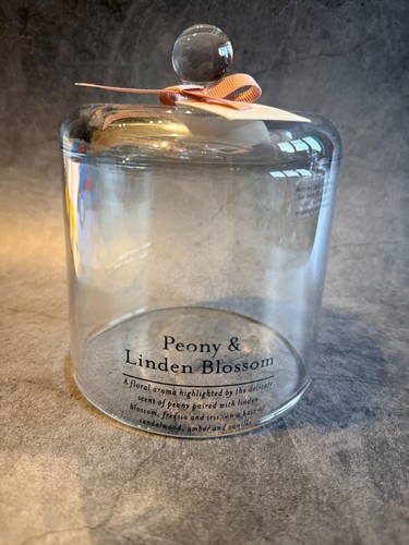 Clear glass cloche bell - clear,