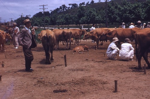 Red border kodachrome slide - border, of