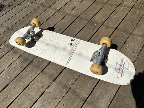 Vintage anthony correa zoo - vintage,