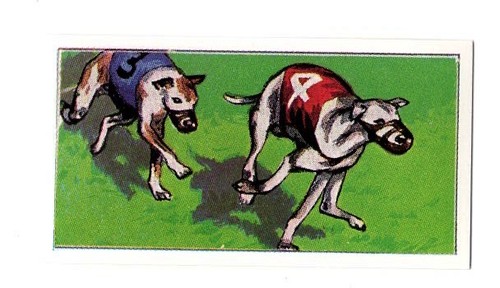 Dogs work collector - at,
