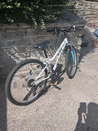 Girls apollo mountain bike - girls,