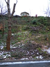 Photo 6x4 Halkshill House