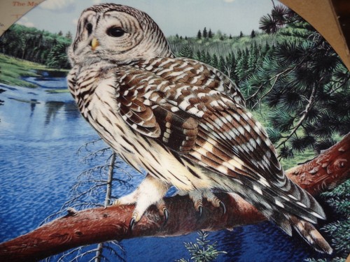 The majesty owls barred - majesty, of
