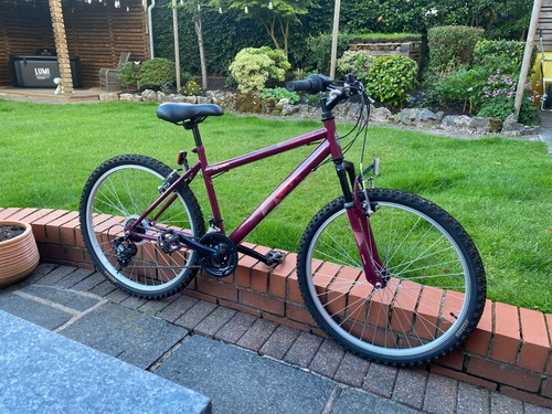 Twilight ladies bike - ladies,