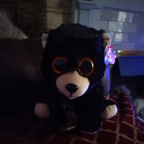 Beanie babies kodi the - -,