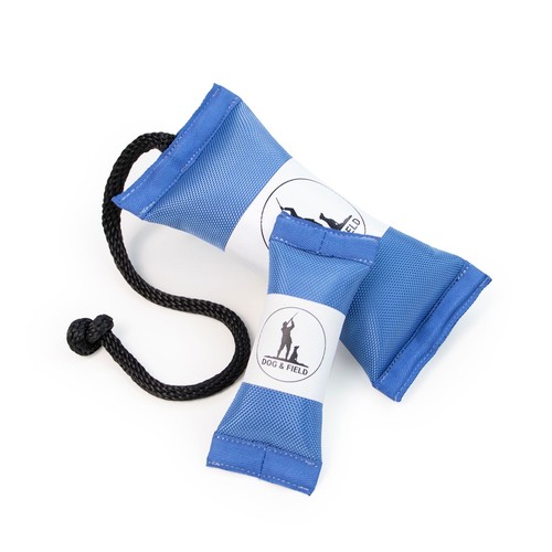 Dog field firehose gundog - firehose,