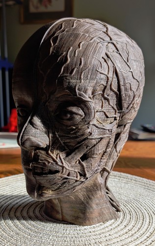 Anatomical model écorché - model,,