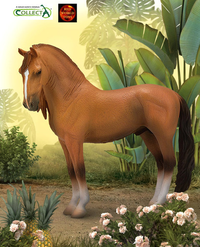 Campolina red dun stallion - campolina,
