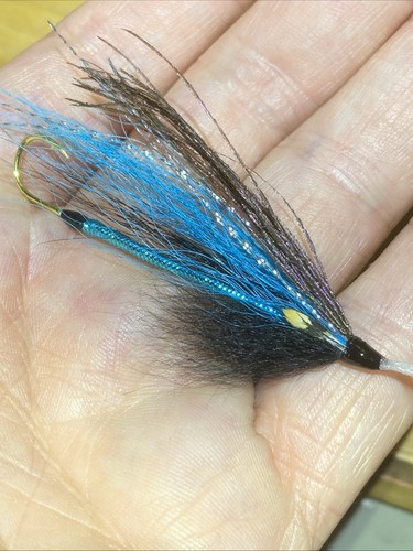 Sea trout sewin snake flies - sea,