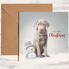 Weimaraner Puppy with Mini