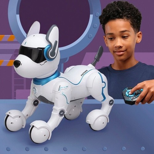 Ziggy the robo dog kids - the,