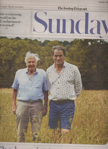 Sunday telegraph - sunday,