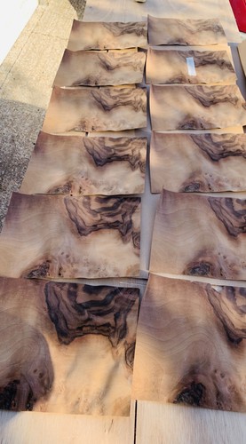 Walnut veneer x12 - veneer, consecutive