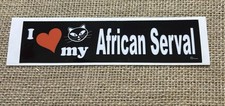 I Love My AFRICAN SERVAL Cat