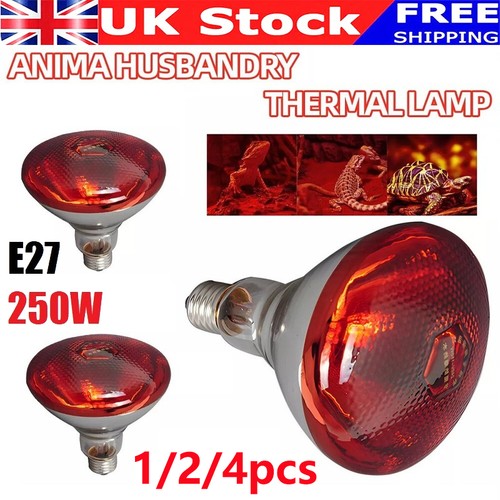 4pcs infra red heat - heat, bulb