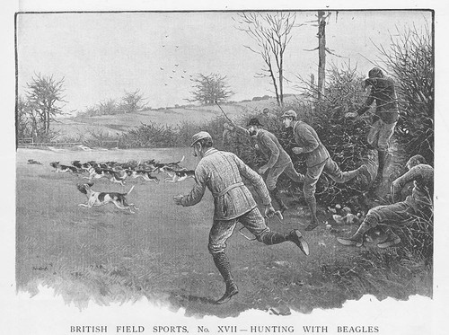 British field sports xvii - british, no.
