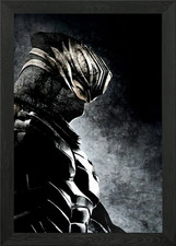 Ninja Gaiden II Framed Wall