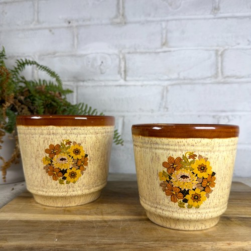 Vintage prinknash pottery - vintage,