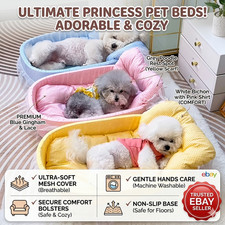 Cute lace trimmed pet - cute,