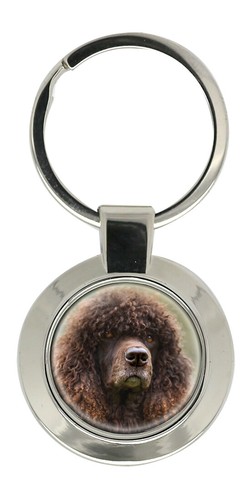 Irish water spaniel key - water,