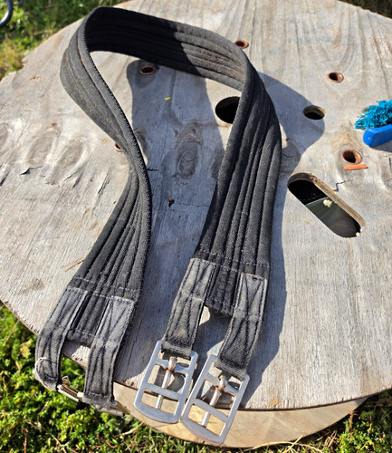 Black horse girth - horse, with
