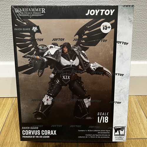 Raven guard corvus corax - raven,