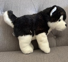 Lapland husky dog - husky, soft